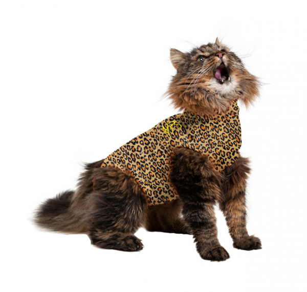 Baju kucing dengan motif leopard